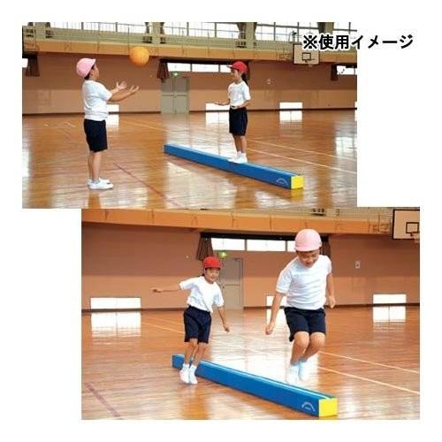 EVERNEW（エバニュー） ブロックマットバランスA 送料無料 EKH176