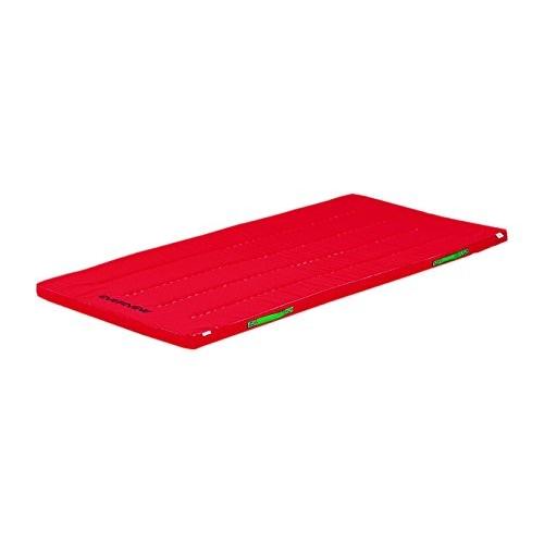 エバニュー EVERNEW 防ダニカラーペットマットすべり止付 120×300×5cm 赤 送料無料 EKM083