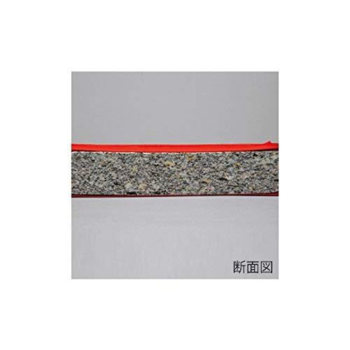 EVERNEW（エバニュー） 屋内外兼用 体操マット 青 送料無料 EKM415-700