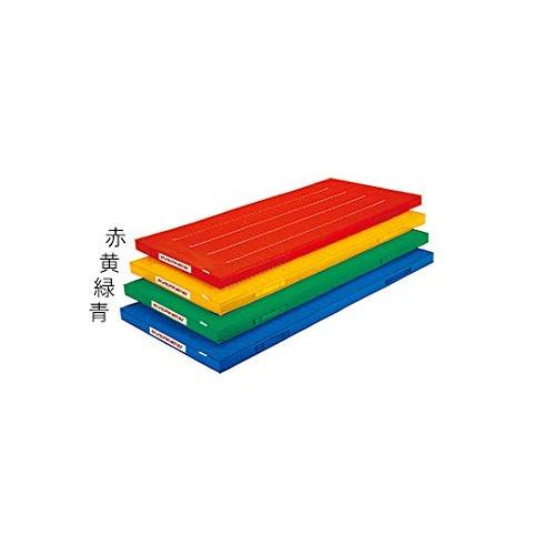 エバニュー EVERNEW 屋内外兼用 体操マット 120×300×5cm 青 送料無料 EKM416-700
