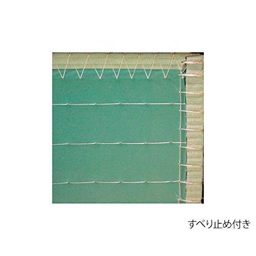 EVERNEW（エバニュー） 柔道用畳 軽量 すべり止付 関東 88×176×6cm