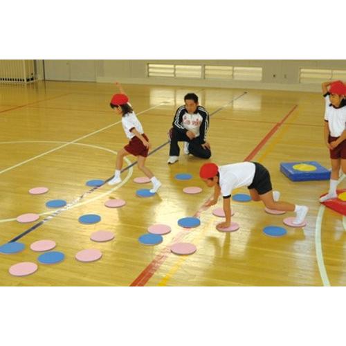 EVERNEW（エバニュー） 屋内 スポーツ リバーシ 10枚1組 直径23×厚さ