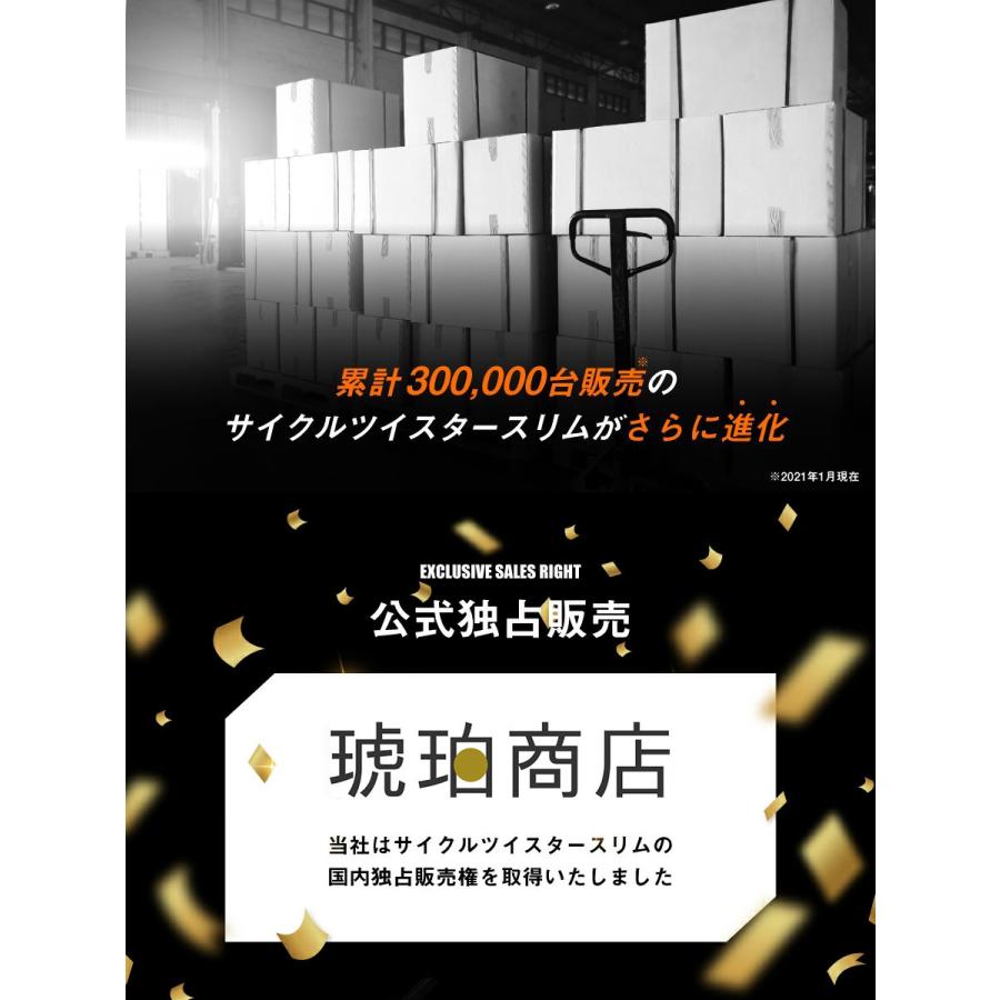 エアロバイク フィットネスバイク サイクルツイスタースリム