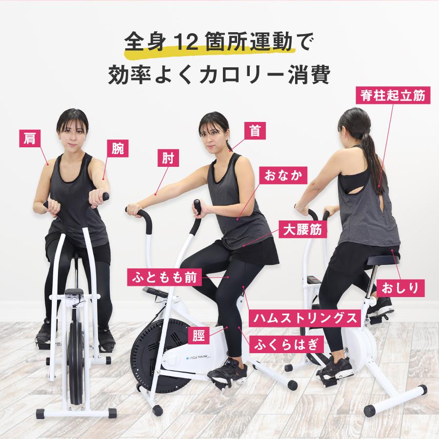 エアロバイク フィットネスバイク サイクルツイスタースリム 新型 公式