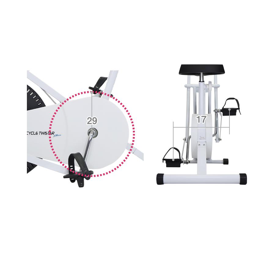 エアロバイク フィットネスバイク サイクルツイスタースリム 新型 公式