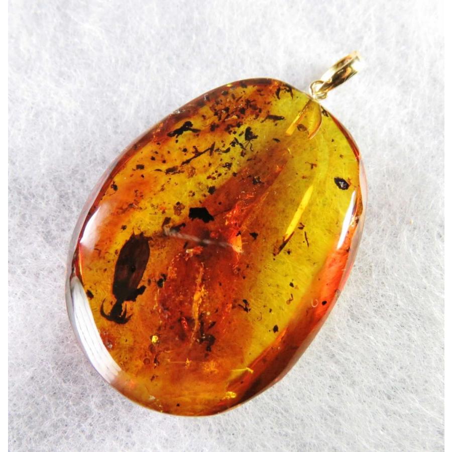 琥珀メキシコ産・花たちと蚊・チャタテムシの虫入り琥珀K18 琥珀メキシコ産・花たちと蚊・チャタテムシの虫入り琥珀K18