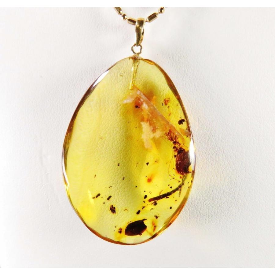 琥珀南米コロンビア産 葉っぱとコオロギ アリ等の虫入り琥珀 コーパル ｋ１８ペンダント Insp019 琥珀屋 通販 Yahoo ショッピング