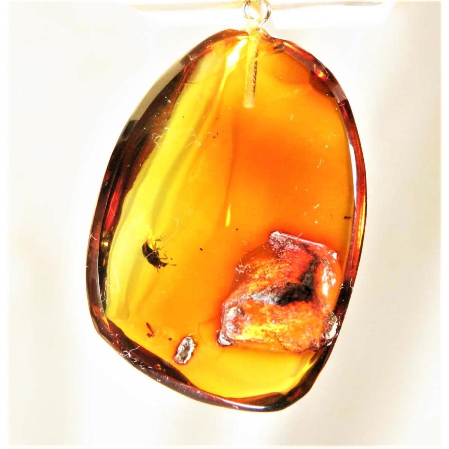 希少】虫入り琥珀 ペンダント部分2つ