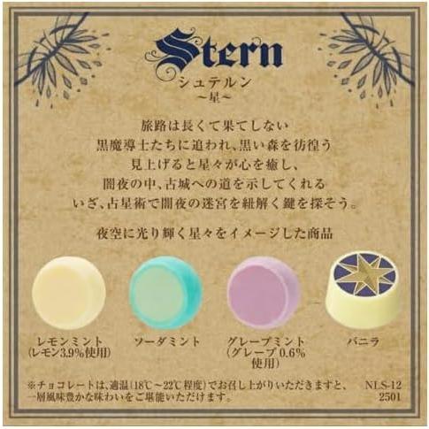 ギフト袋付き 】メリー チョコ ナハトラビュリント シュテルン 星 9個