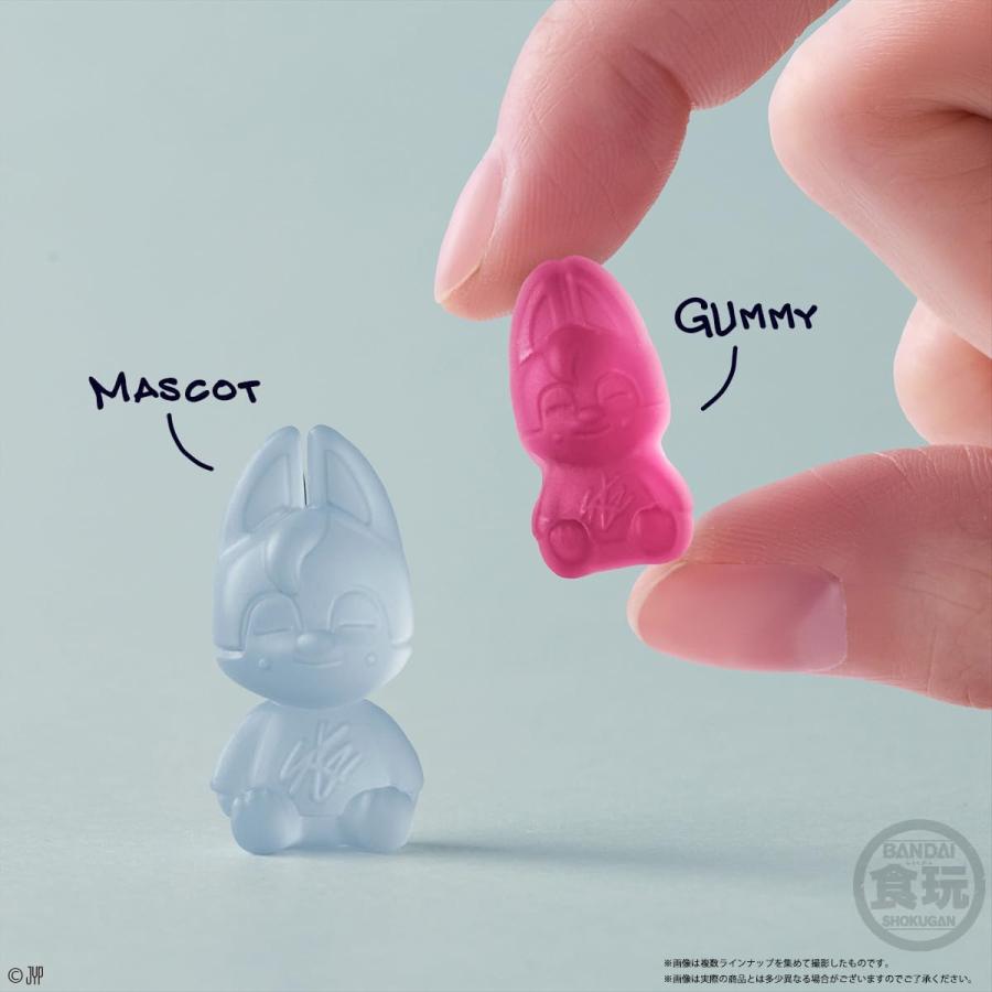 6袋バラ売り 】 SKZOO グミ＆チャーム Stray Kids スキズ グミ ※12個