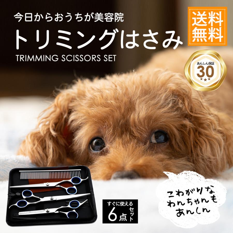 トリミング ハサミ シザー ペット はさみ 6点セット 犬 猫 ペット カーブシザー スキバサミ ストレートシザー トリマー 丸い先端 セルフカット 送料無料 Aobaxtoriming Aobax 通販 Yahoo ショッピング