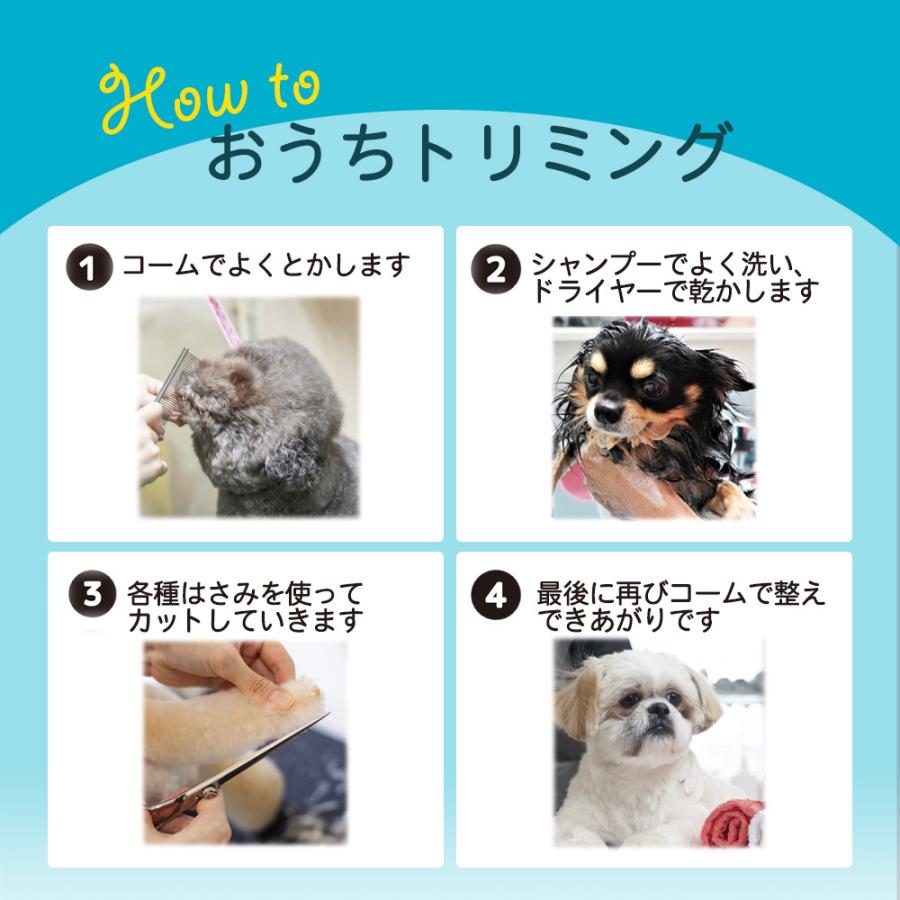 トリミング ハサミ シザー ペット はさみ 6点セット 犬 猫 ペット カーブシザー スキバサミ ストレートシザー トリマー 丸い先端 セルフカット 送料無料 Aobaxtoriming Aobax 通販 Yahoo ショッピング