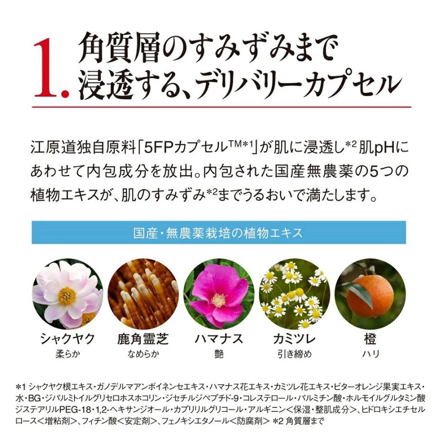 Koh Gen Do（江原道） 公式 オリエンタルプランツ フェイシャル