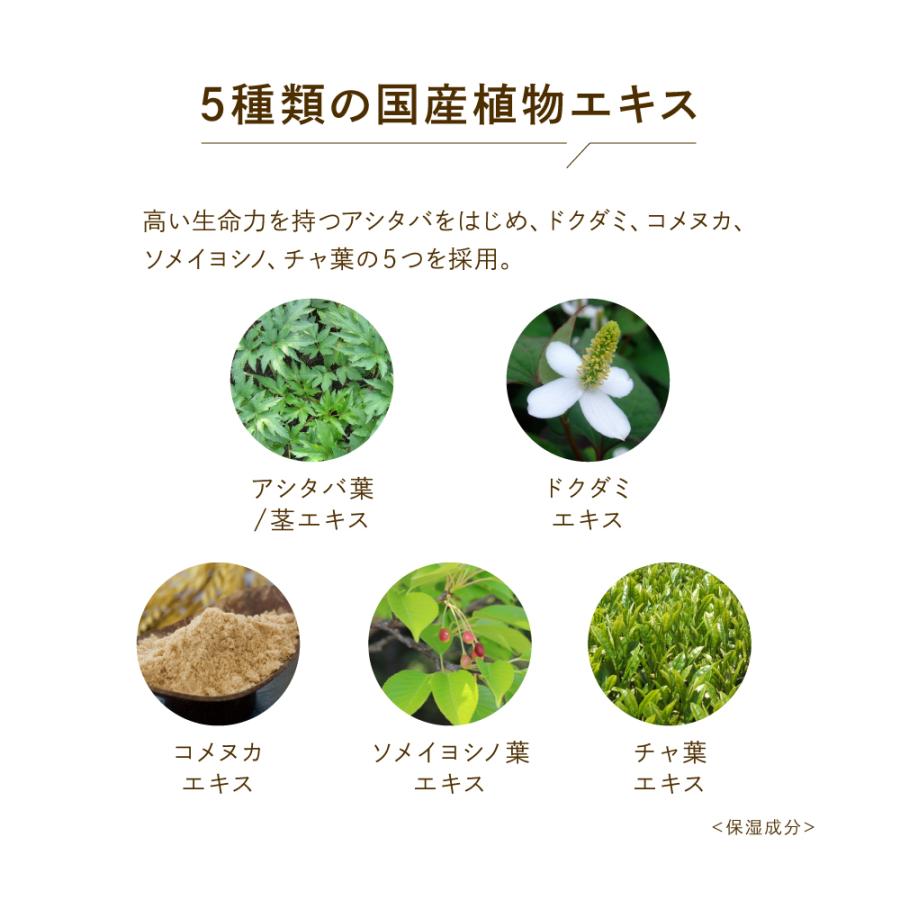 Koh Gen Do（江原道） 公式 ザ・パウダーコンパクト式 透明 スキンケア