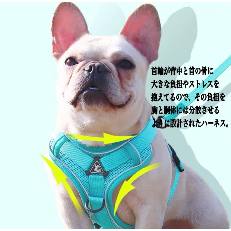 カタログギフトも! 犬 犬ハーネス ハーネス リード付き 犬用 猫用 ペット おしゃれ 脱げない かわいい 小型 中型 大型 メッシュ 胴輪 散歩 discoversvg.com カタログギフトも! 犬 犬ハーネス ハーネス リード付き 犬用 猫用 ペット おしゃれ 脱げない かわいい 小型 中型 大型 メッシュ 胴輪 散歩 discoversvg.com
