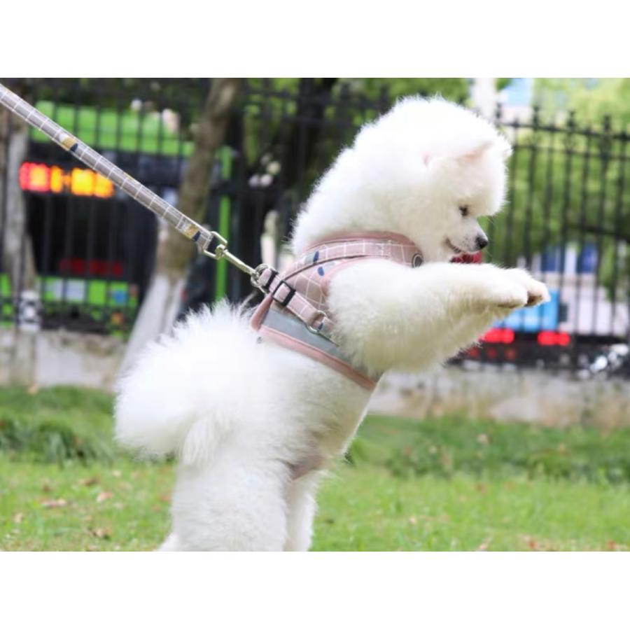 ハーネス ベスト型ハーネス ハーネスリード 胴輪 犬用 猫用 かわいい
