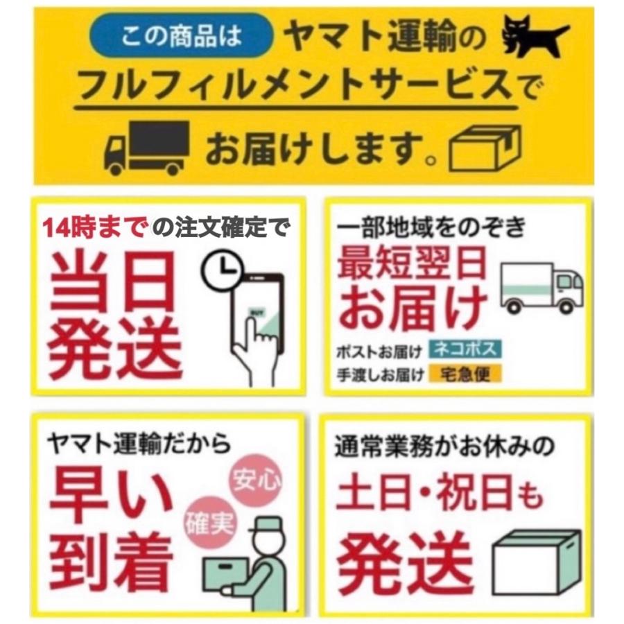 【期間限定SALE中！1,380円→1,180円】首輪　光る首輪　LED　犬　犬用　おしゃれ　USB充電式　ライト　小型犬　中型犬　大型犬　防水｜kohkistore｜23