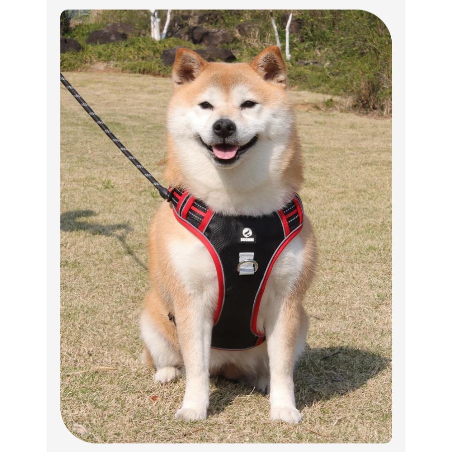 犬 犬用 ハーネス ドッグハーネス 中型犬 大型犬 犬ハーネス メッシュ
