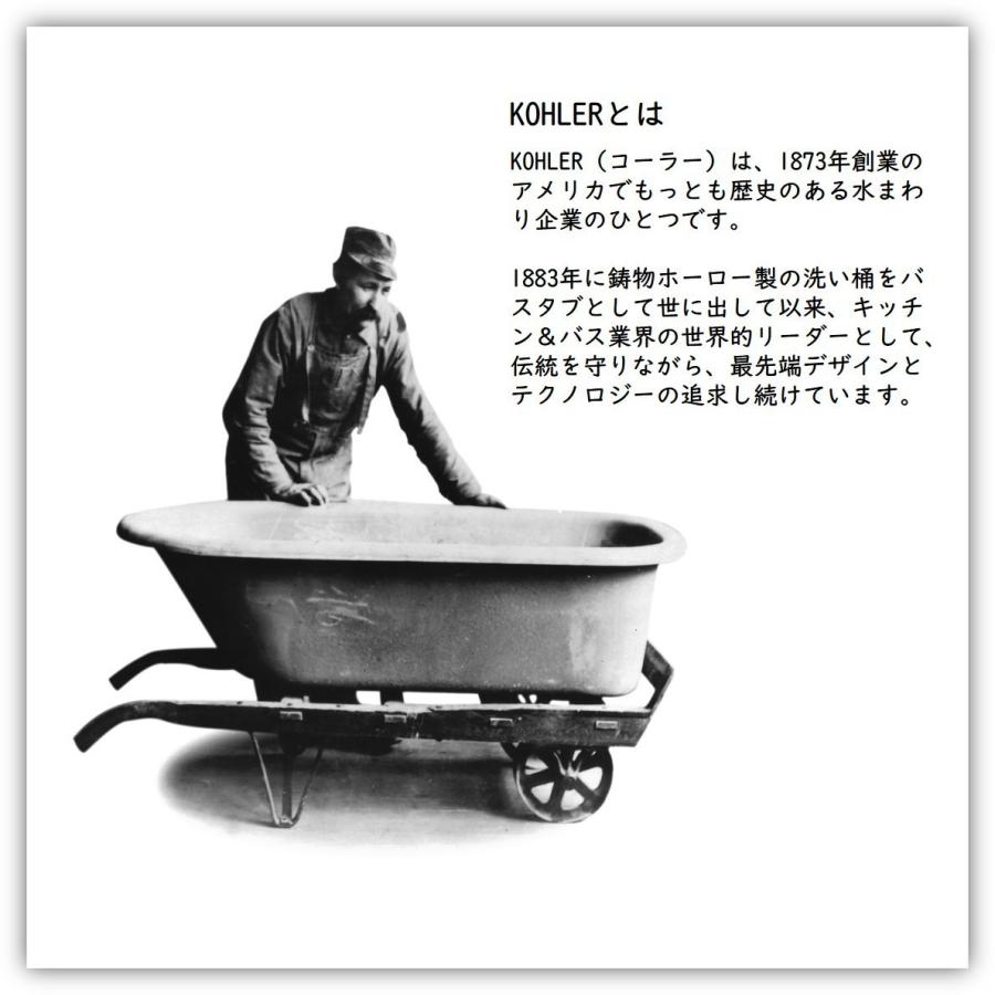 KOHLER キッチンシンク 交換 DIY 公式 | ベーカーズフィールド KOHLER キッチンシンク 交換 DIY 公式 | ベーカーズフィールド
