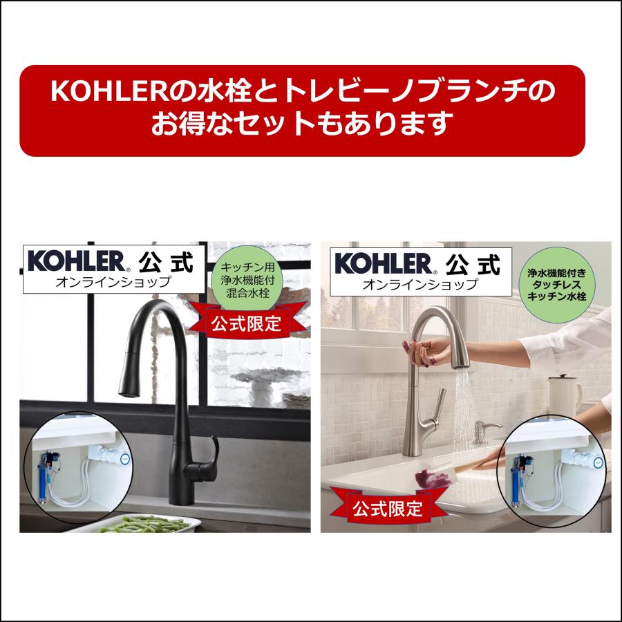 正規メーカー仕入品 浄水器 トレビーノブランチ 高除去 後付け ビルトイン浄水器 据置型 シンク下 据え置き トレビーノ 東レ おいしい水 キッチン 電池 SK88X-BR｜kohler｜03