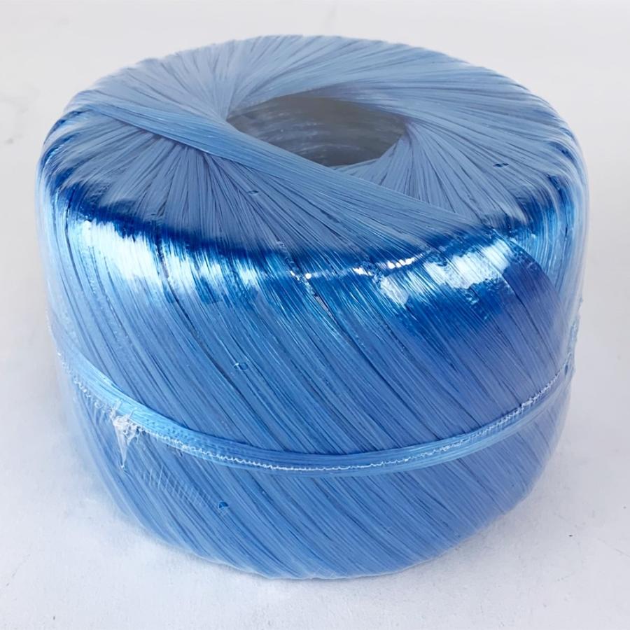 コーナン オリジナル PROACT(プロアクト) 玉巻きテープ青65mm