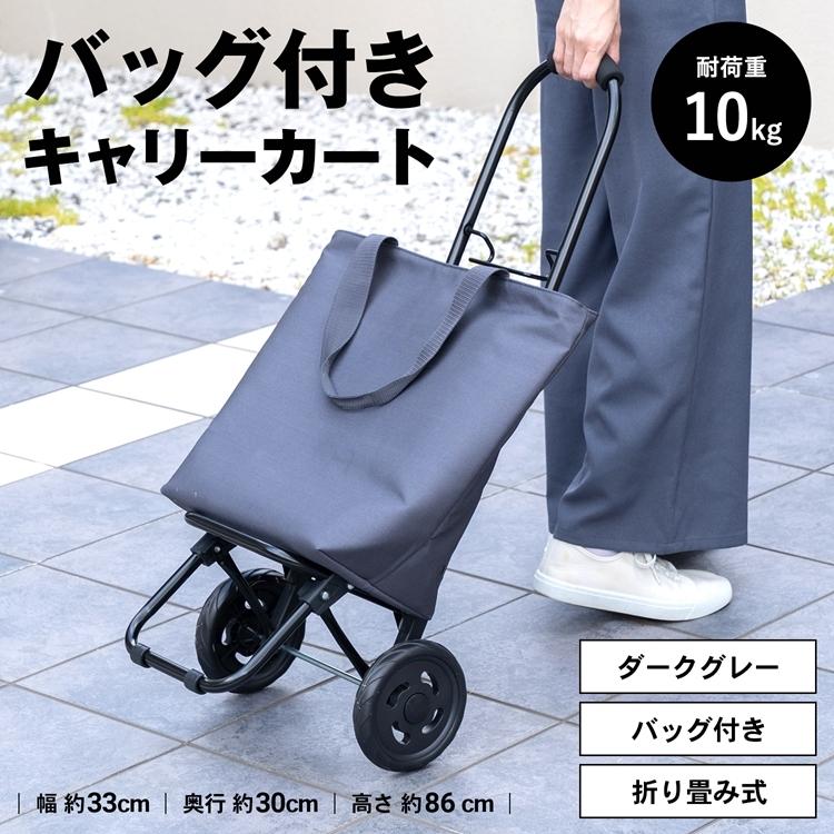 コーナン オリジナル LIFELEX ショッピングカートSMR031