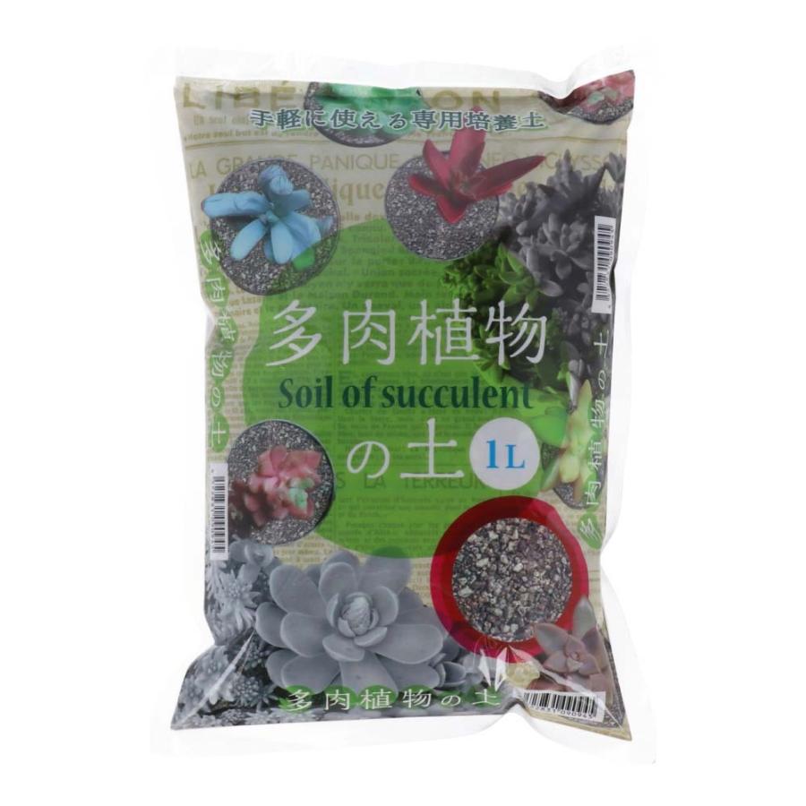 コーナン オリジナル 多肉植物の土 １ｌ ４００ｇ コーナンeショップpaypayモール店 通販 Paypayモール