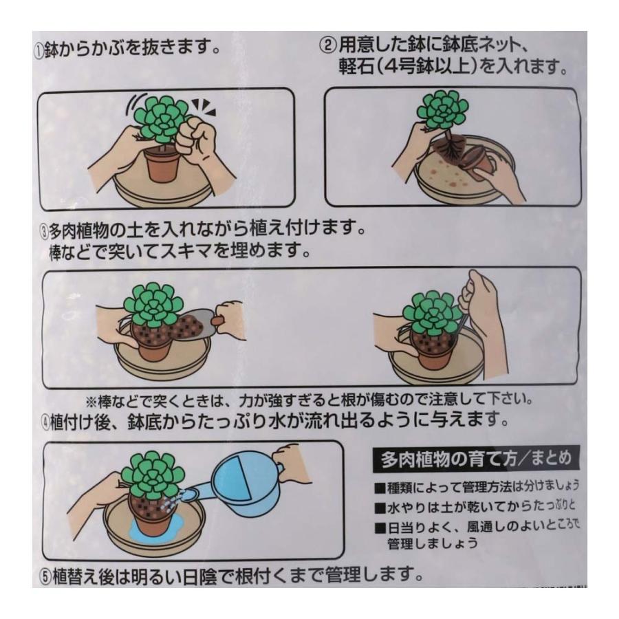 高品質の人気 コーナン オリジナル 多肉植物の土 １ｌ ４００ｇ