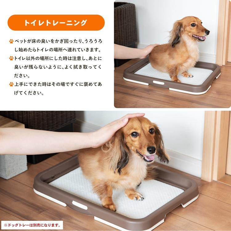 業務用 ペットシーツ レギュラー 400枚（200枚×2袋） ペット用