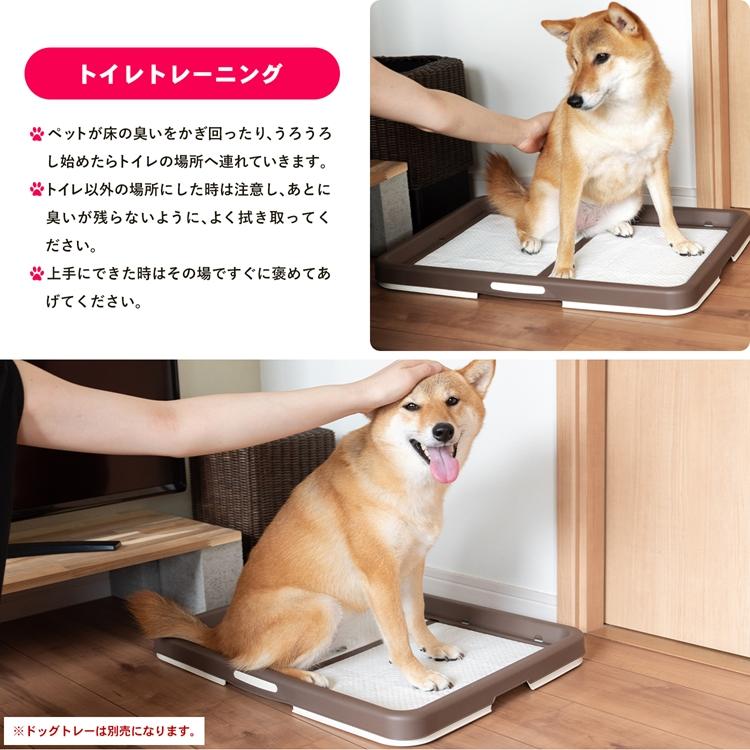 ペットシーツ ワイド 薄型 400枚（100枚×4袋） 大容量 業務用 お得用