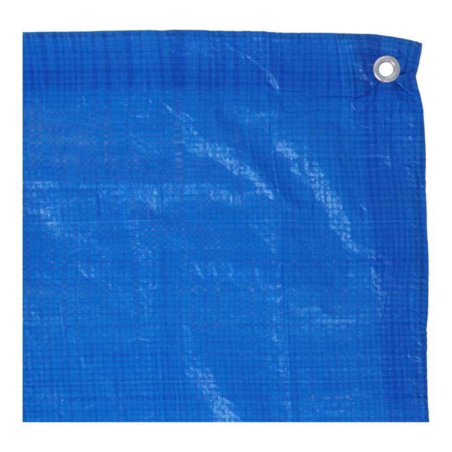 ◇コーナン オリジナル PROACT 薄手ブルーシートPR 規格サイズ：3