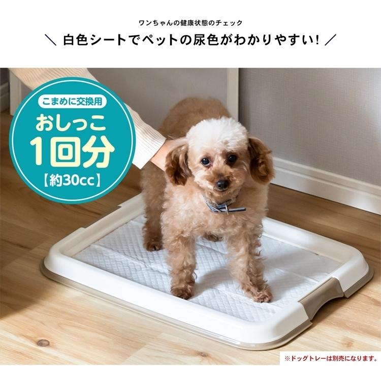 ◇ペットシーツ レギュラー 薄型 800枚 業務用 安い シーツ ペット