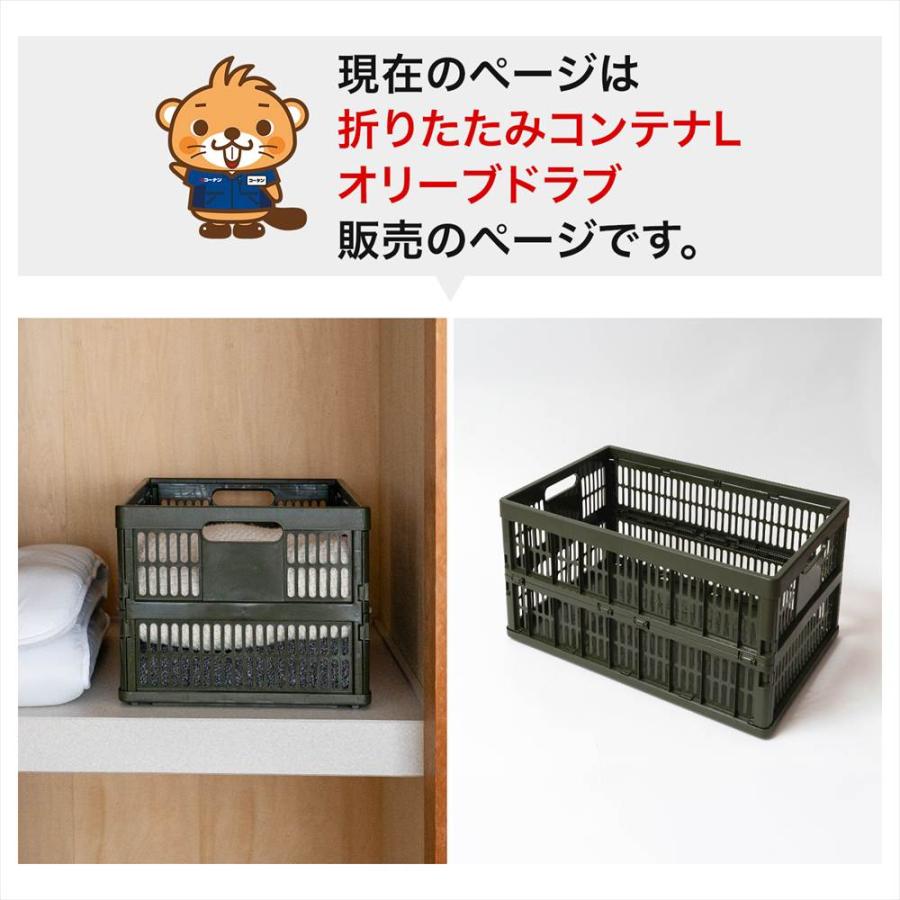 折りたたみコンテナ 収納ボックス コンテナボックス Lサイズ 約幅40