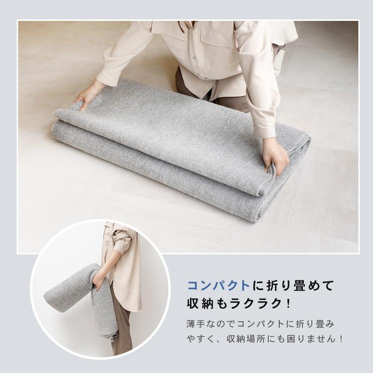 コーナン オリジナル LIFELEX 防ダニカーペット 江戸間約3帖 グレー 