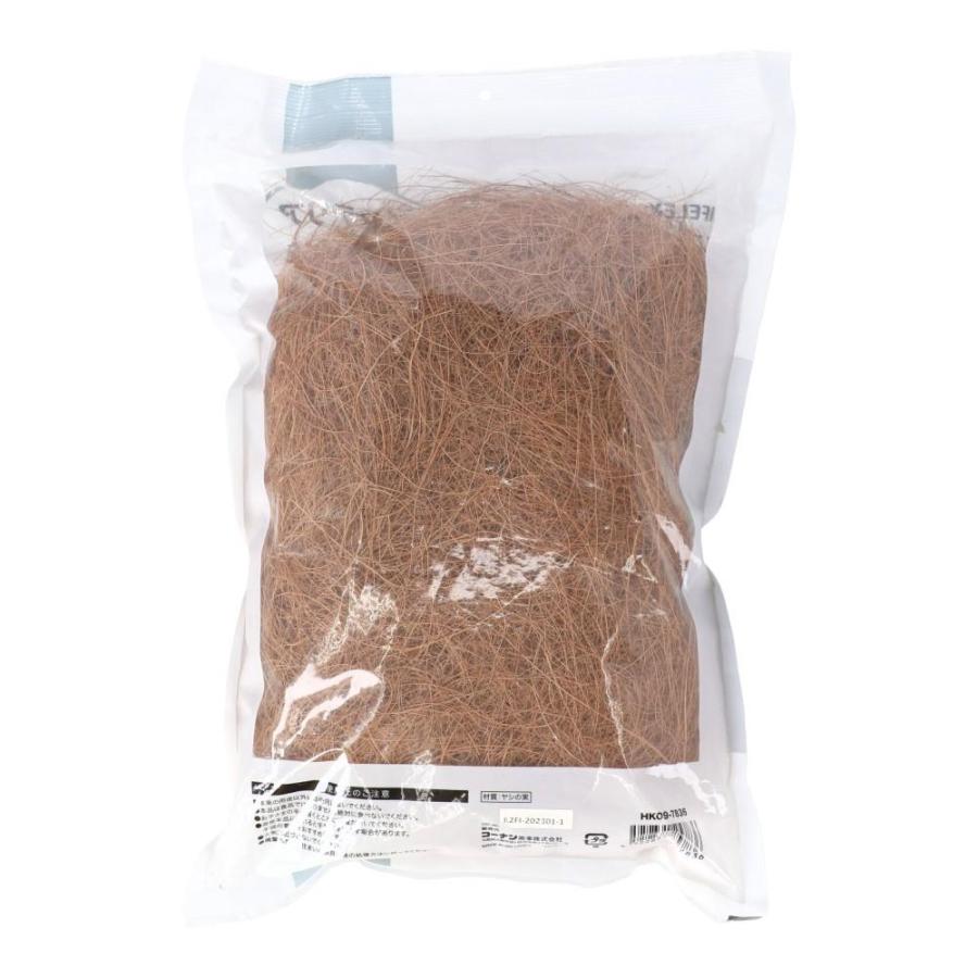 ここやしさま専用 観葉植物 ココヤシ 10号 コーテス ヘックス 灰 付き | 観葉植物