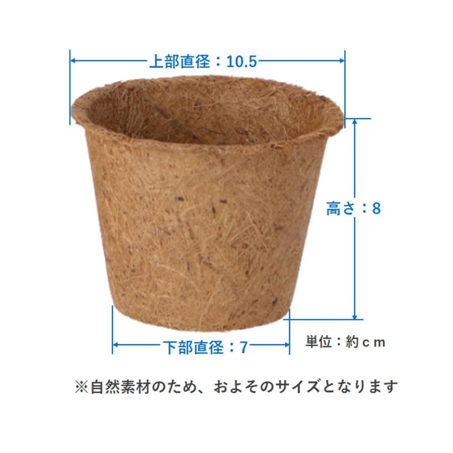 コーナンオリジナル LIFELEX ココヤシポットM 3個入 KH09