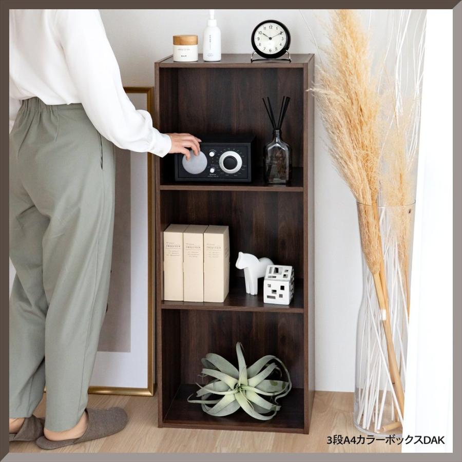 A4用　棚　2段　デザイン棚 楽天市場】【2個セット】カラーボックス 2段 A4サイズが入る CX-2F