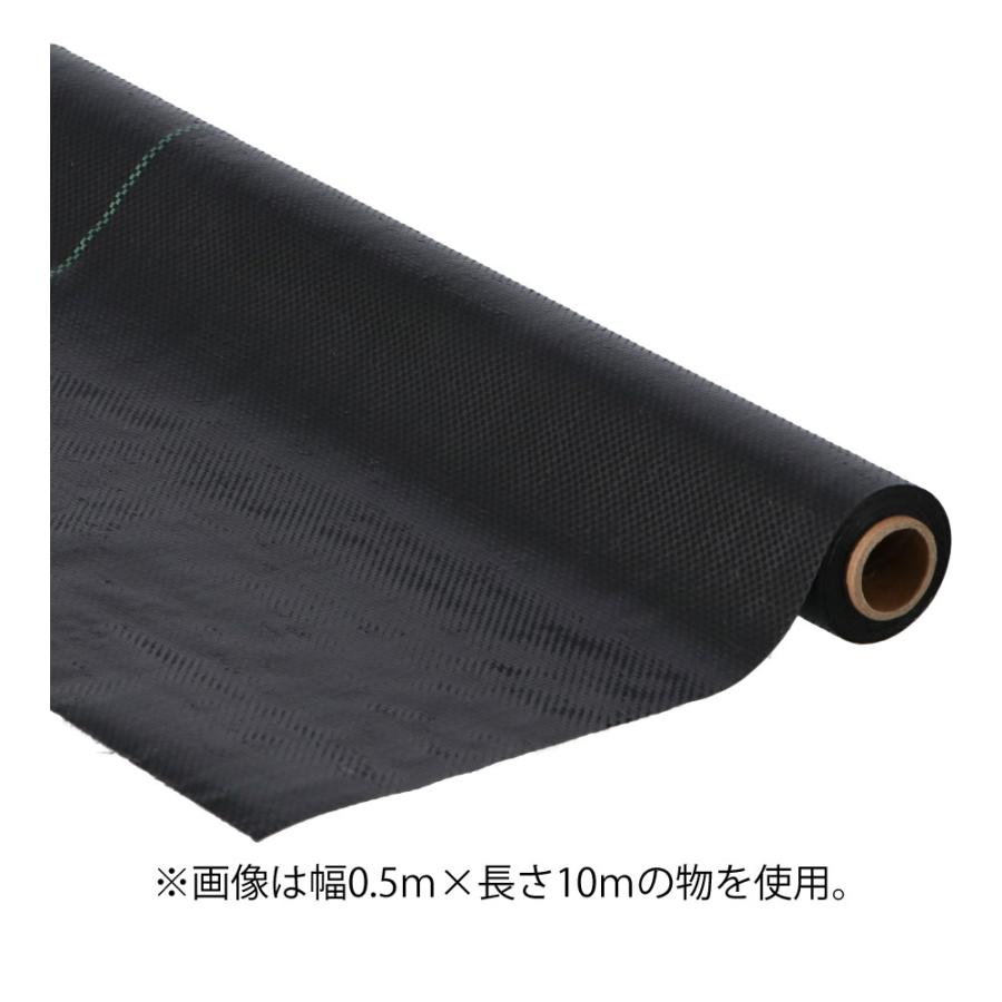 コーナンオリジナル LIFELEX 防草シート 1×50m HK09−0560