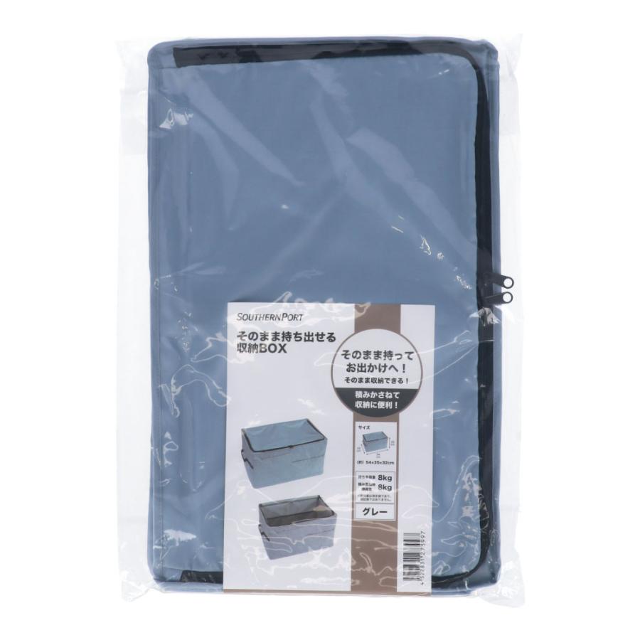コーナンオリジナル SOUTHERNPORT そのまま持ち出せる収納BOX