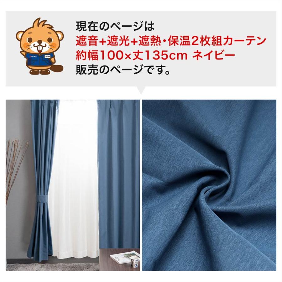 遮音 遮光＋遮熱 保温カーテン カーテン ブレゾ 2枚組 タッセル付き 幅