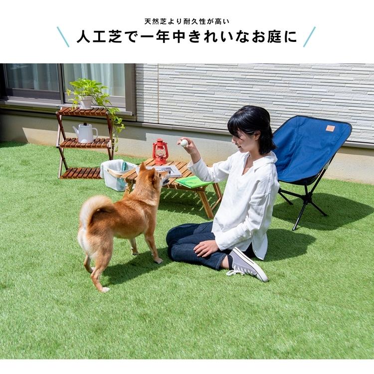 コーナンオリジナル ガーデンターフ 芝丈約：35mm 巾約：1mX1m巻き