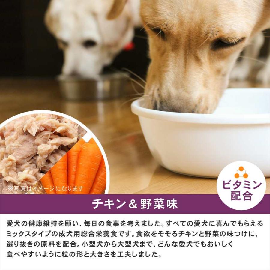 ドッグフード 全犬種用 ドライフード ドッグタイムス チキン＆野菜味