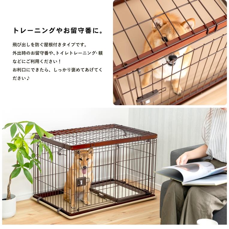◇インテリアサークル ＷＯＯＤＹ Ｍ オークブラウン 天井ネット付き