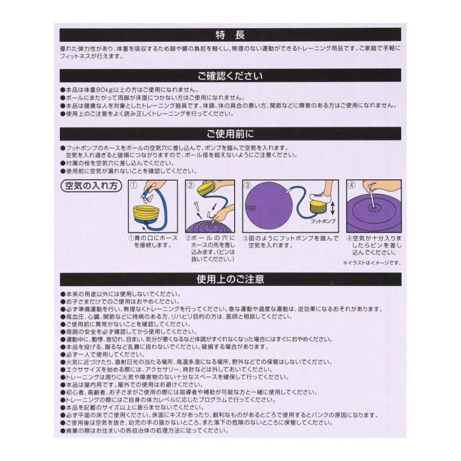 コーナン オリジナル SOUTHERNPORT ノンバースト フィットネスボール 