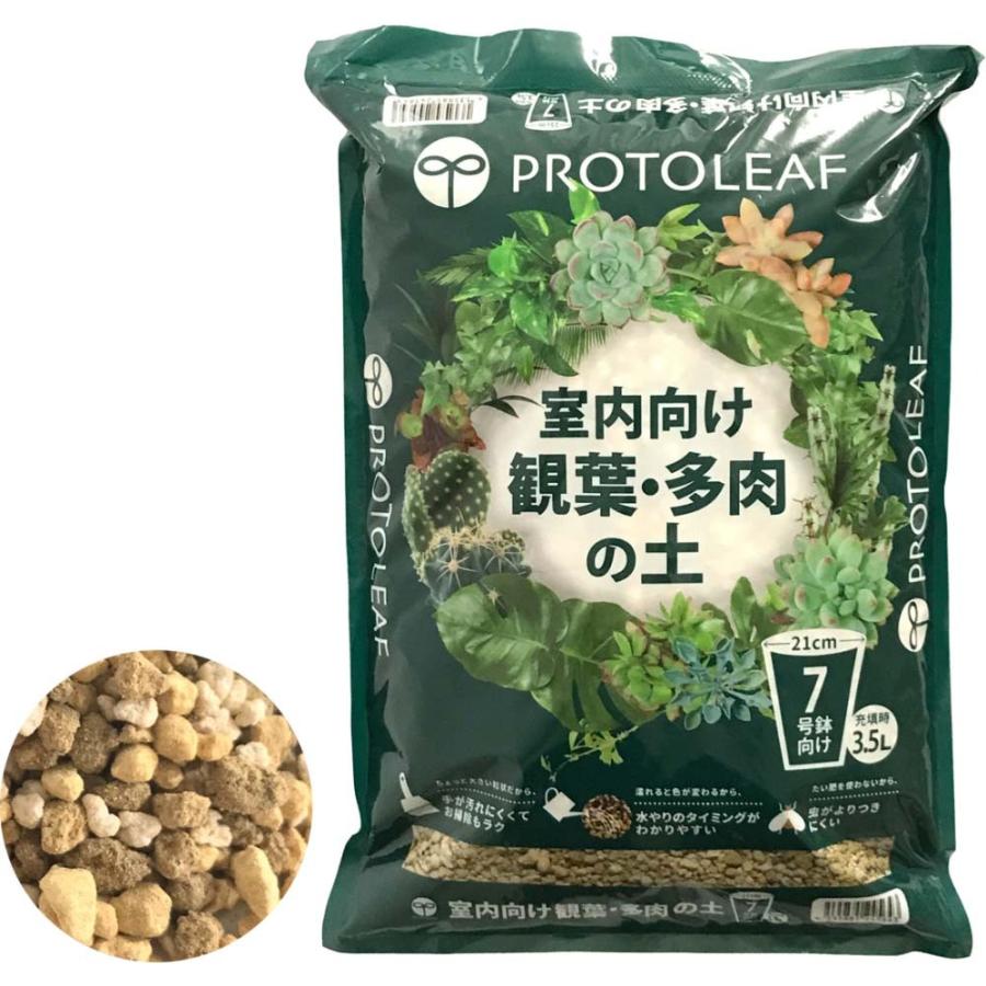 プロトリーフ 室内向け観葉・多肉の土 7号鉢用 3.5L 幅230x奥行360x高さ50mm :4535885245643:コーナンeショップ Yahoo!ショッピング店 - 通販 - Yahoo!ショッピング プロトリーフ 室内向け観葉・多肉の土 7号鉢用 3.5L 幅230x奥行360x高さ50mm :4535885245643:コーナンeショップ Yahoo!ショッピング店 - 通販 - Yahoo!ショッピング