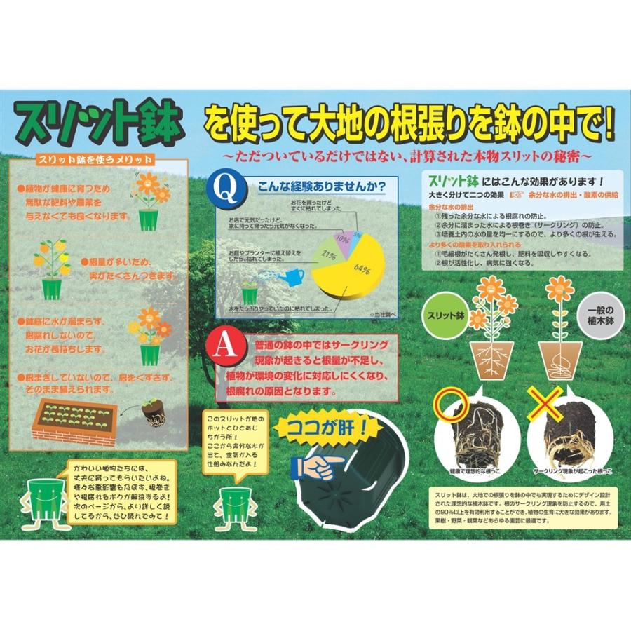 兼弥産業 スリットポット モスグリーン 径15×高さ12．5cm