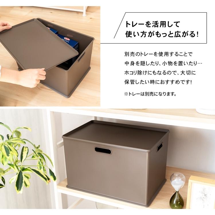 コーナン オリジナル インボックス レギュラー ダークブラウン 約外寸