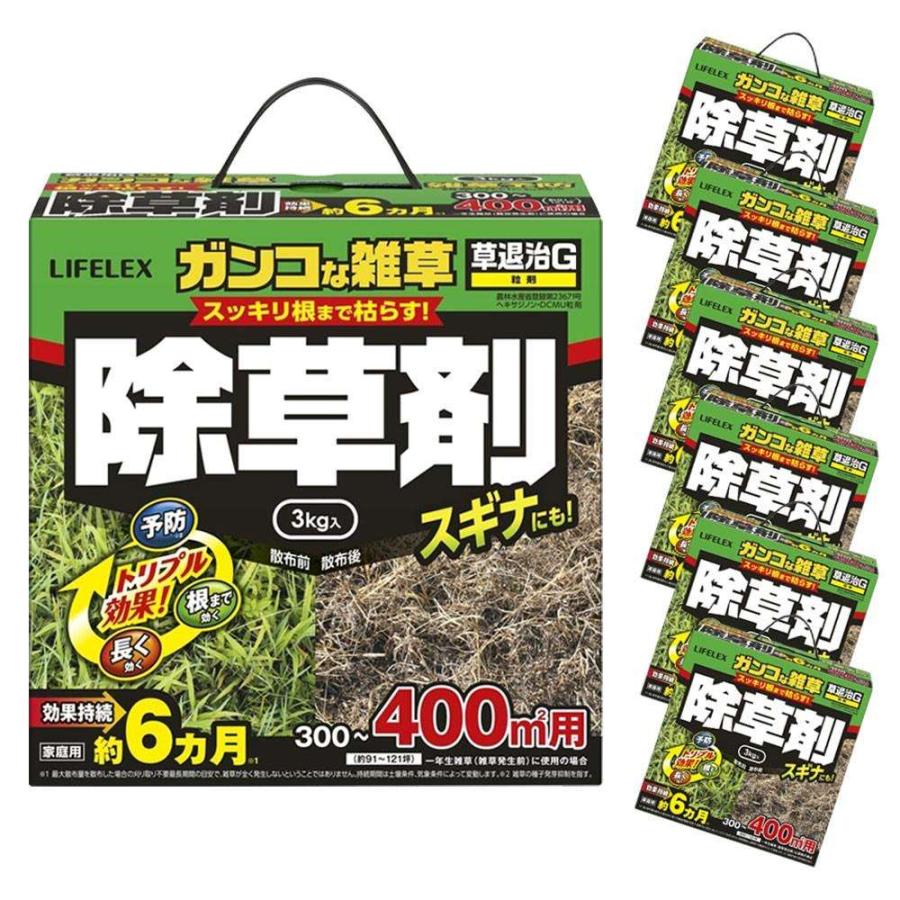 除草剤 草退治G 粒剤 3kg 6個セット 家庭用 雑草対策 根こそぎ 草枯らし 庭 駐車場 雑草防除 雑草予防 雑草除去 スギナにも効く LIFELEX コーナン | KINCHO園芸