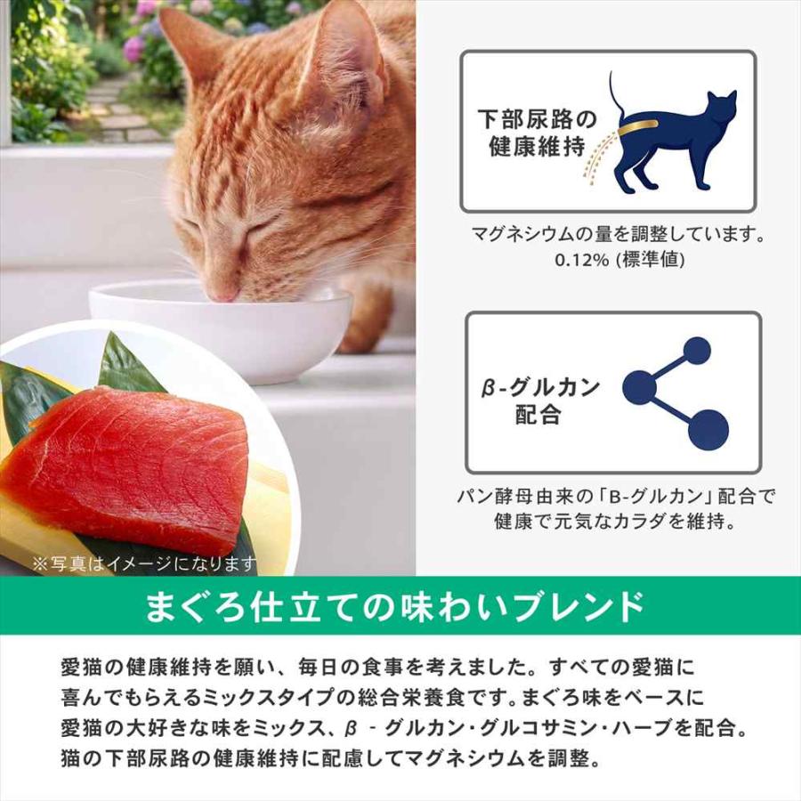ポイント3倍 9/11-9/13】キャットフード 4.95kg×3個セット キャラット