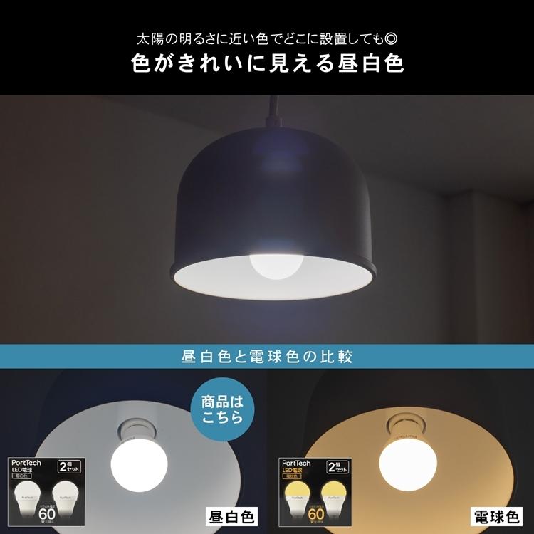 コーナン オリジナル PortTech LED電球小型広配光60W相当 昼白色 2個